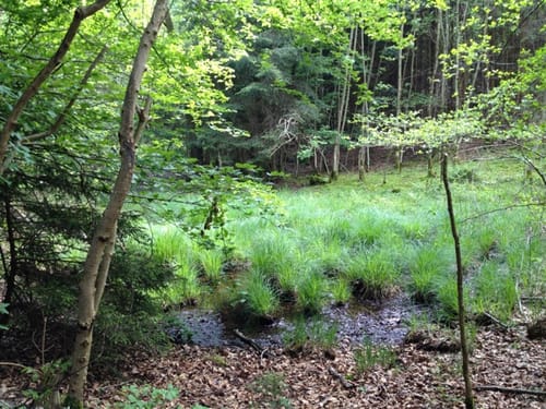 Toteiskesselweg: Höhenberger Route