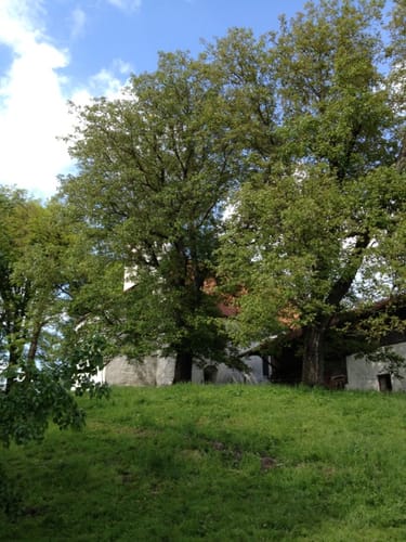 Toteiskesselweg: Höhenberger Route