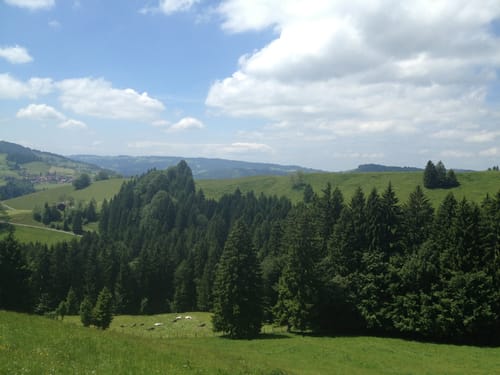Wildes Wasser (Premiumwanderweg)