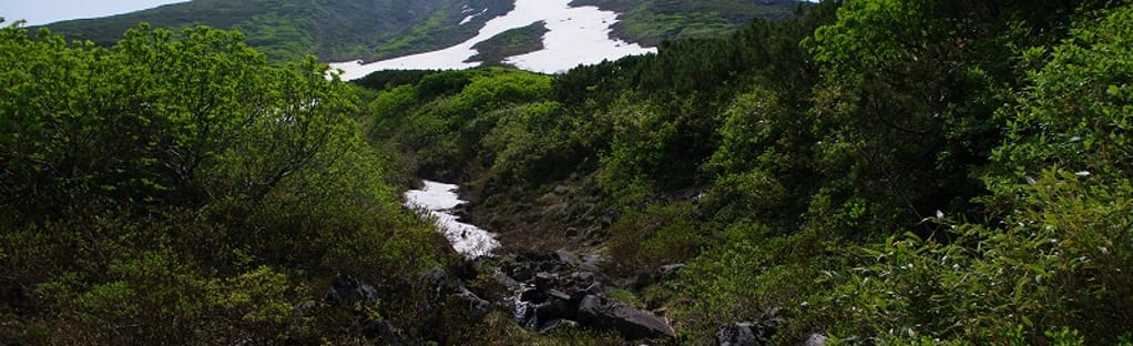 オプタテシケ山 美瑛富士登山口 Hokkaido Japan Alltrails