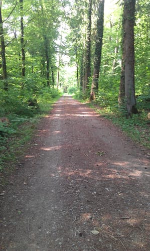 Zweidlen - Hüntwangen