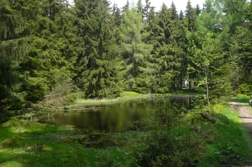 Vogtland Panorama Weg Etappe 6: Bad Brambach - Bad Brambach
