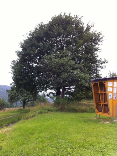 Rund um den Atzelberg