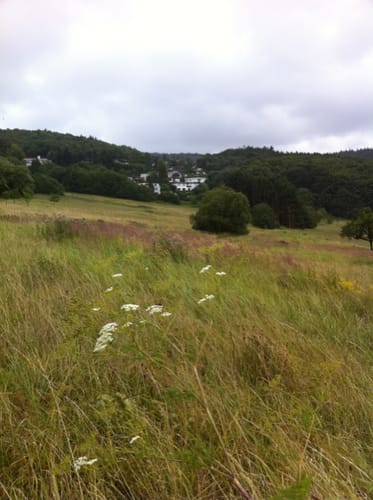Rund um den Atzelberg