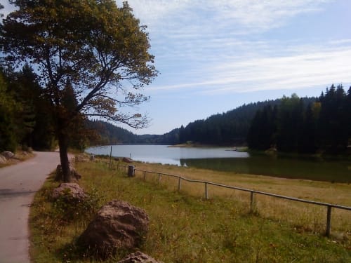 Talsperre Lütsche - Ausgebrannter Stein - Oberhof