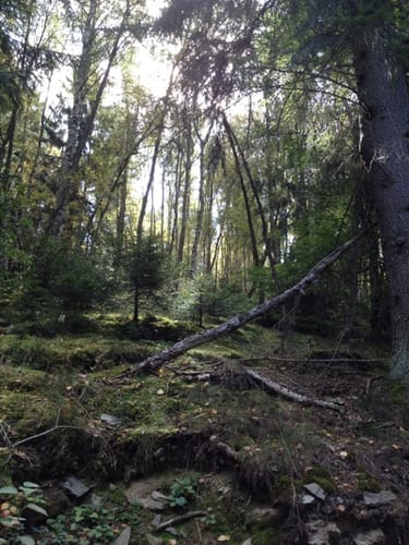 Hasenberg und Michelbachtal