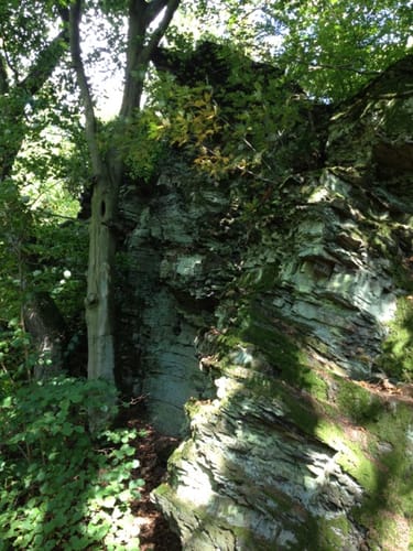 Hasenberg und Michelbachtal