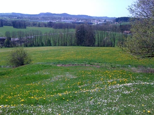 Rund um den Rangenberg