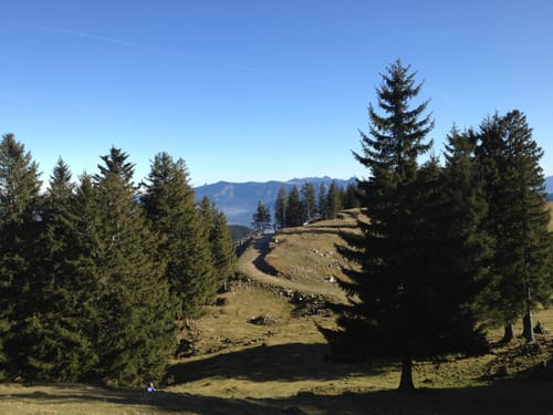 Zum Farrenpoint 