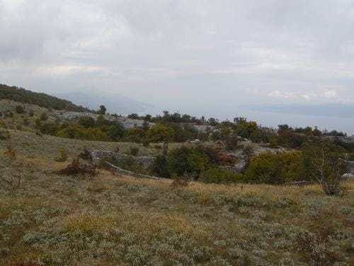 2023 Best River Trails in Raša AllTrails