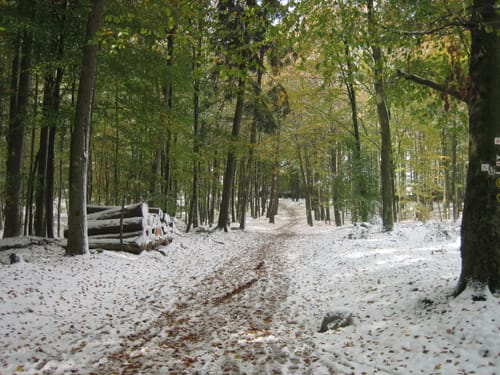 Großer Felsenmeerweg