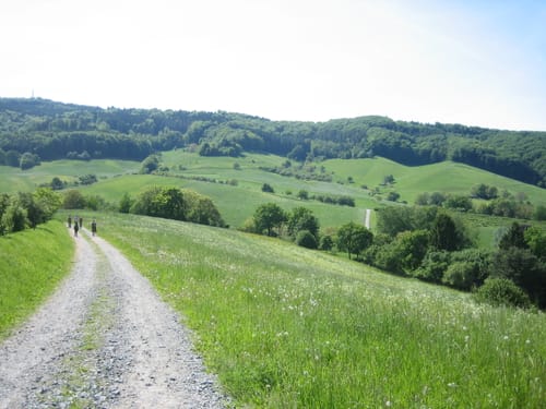 Nibelungensteig Etappe 1: Zwingenberg - Lindenfels