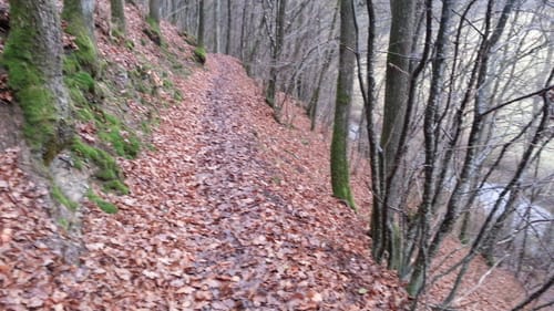 Lieserpfad Etappe 3: Manderscheid - Wittlich