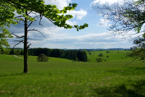 Felsenmeer und Hörnle