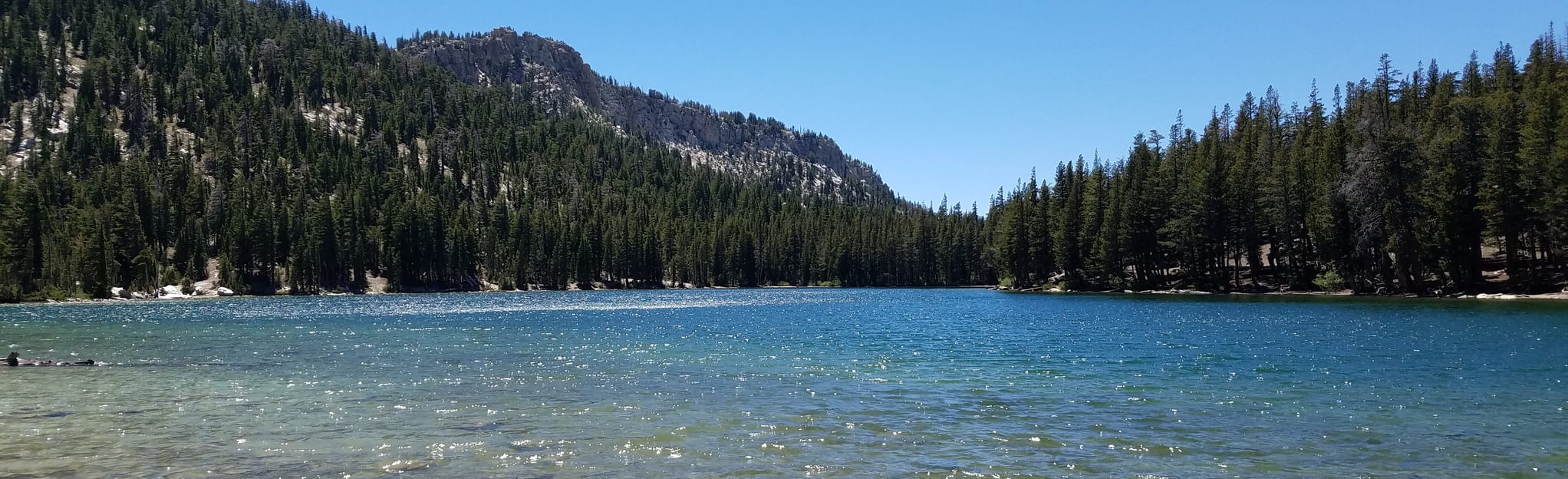 McLeod Lake Trail 714 Reviews, Map California AllTrails