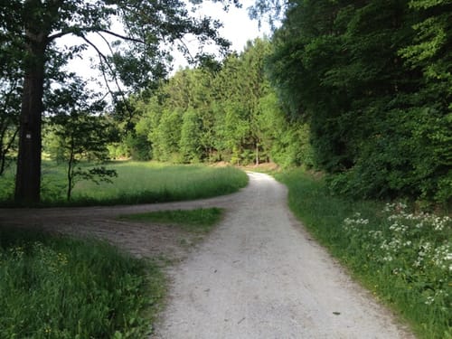 Watzhahn - Hahn