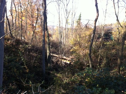 Schauinslandweg (Premiumwanderweg)