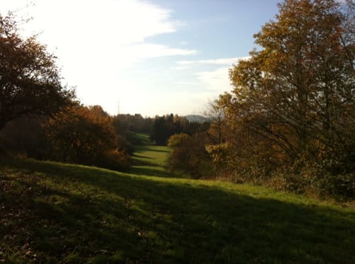 Schauinslandweg (Premiumwanderweg)