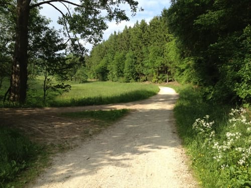 Taunusstein Running
