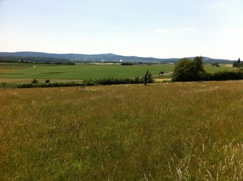 Um Hasenberg und Eichkopf