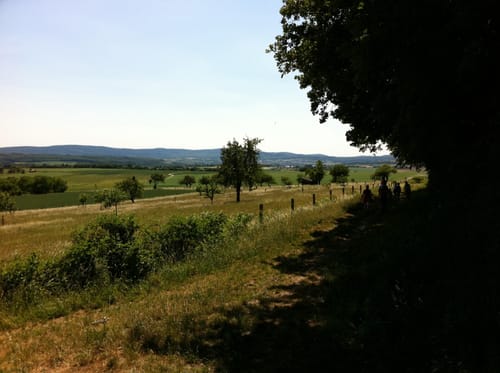 Um Hasenberg und Eichkopf