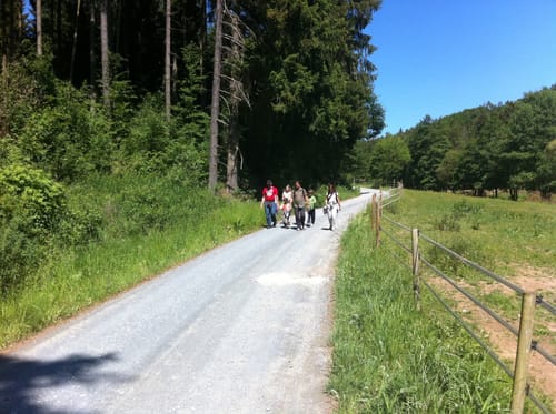 Um Hasenberg und Eichkopf