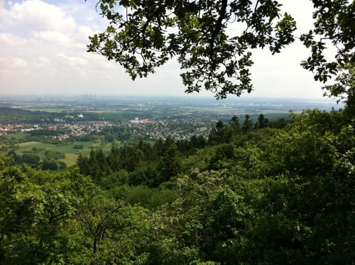 Von Kelkheim zum Großen Mannstein und der Luisenruhe