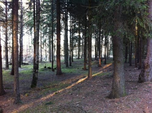 Märkischer Landweg Etappe 6: Wolletz - Angermünde