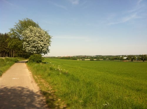 Rund um den Benther Berg