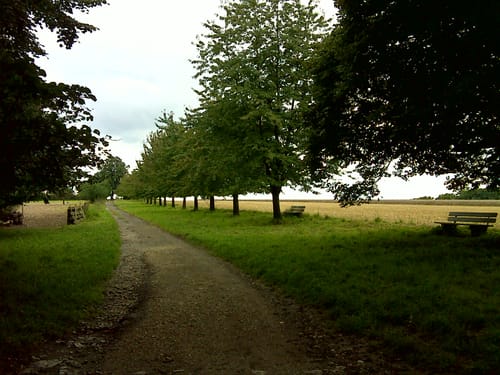 Kunigundenweg Etappe 5: Burgebrach - Bamberg