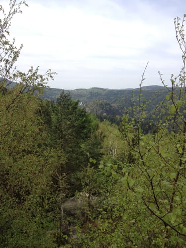 Zittauer Gebirgslauf 2019