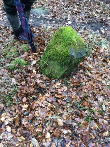Fleisbacher Grenzgang (2015)