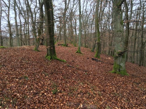 Fleisbacher Grenzgang (2015)