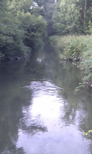 Durch den Rheinwald zur Passerelle de Deux Rives