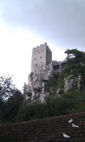 Falkenstein zur Burg Weissenstein