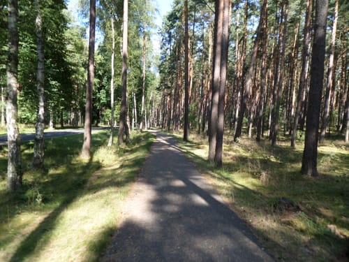 Müritz-Nationalpark Weg Etappe 3: Boeker Mühle - Wesenberg