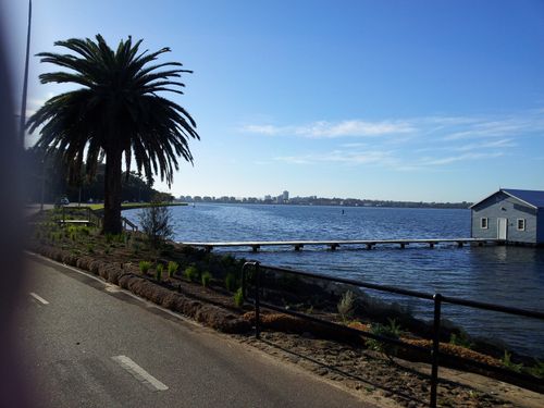 are dogs allowed at matilda bay reserve