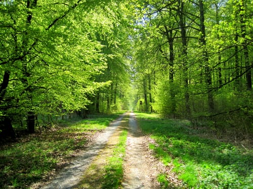 5-Bäche-Weg