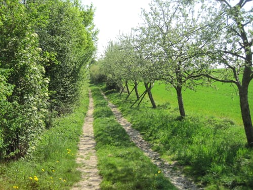 5-Bäche-Weg