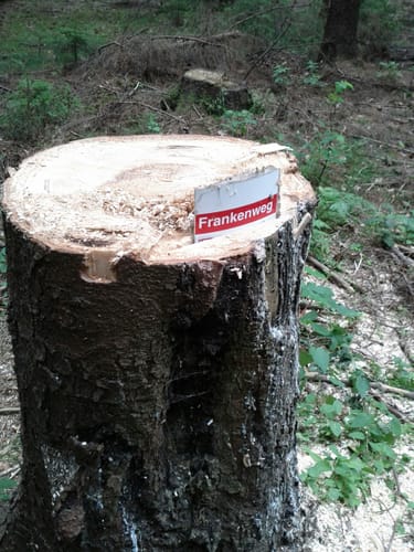 Frankenweg Etappe 3: Reichenbach - Kronach