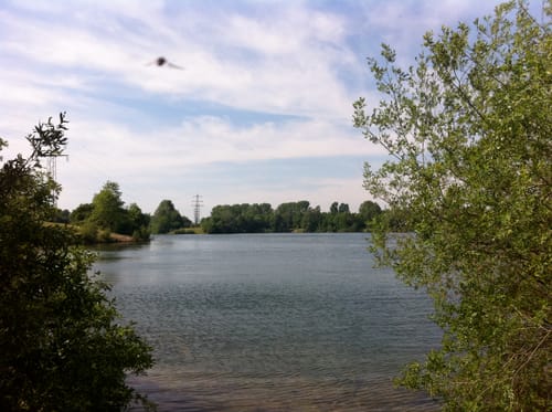 Grüner See