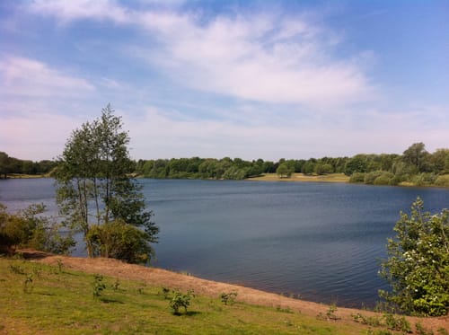 Grüner See