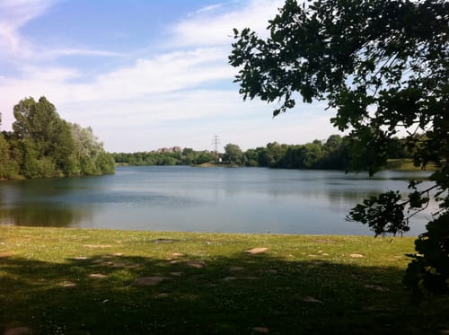 Grüner See
