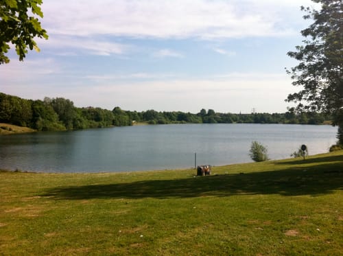 Grüner See