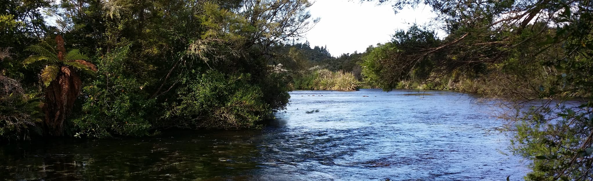 Te Waikoropupu Springs: 109 foto - Nelson-Tasman, Nuova Zelanda | AllTrails