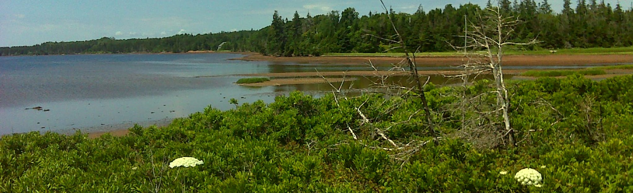 Panmure Island Beach, Prince Edward Island, Canada 5 Reviews, Map