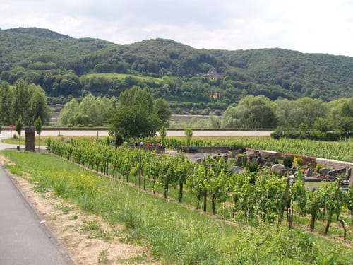 Rheinsteig: Von Rheinbrohl nach Leutesdorf
