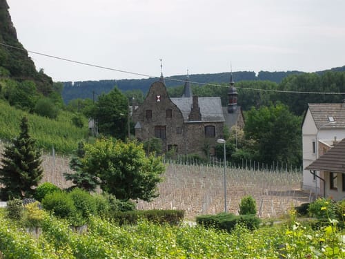 Rheinsteig: Von Rheinbrohl nach Leutesdorf
