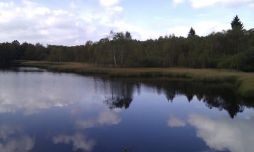 Ums Rote Moor