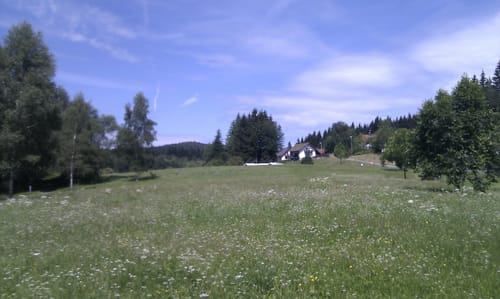 Spiegelau rund um Jägerfleck